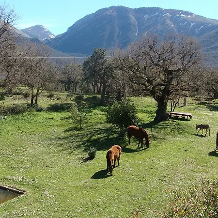 Holiday home Fattoria Mongerrate